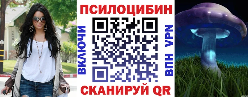 магазин продажи наркотиков Выкса Псилоцибиновые грибы Psilocybe