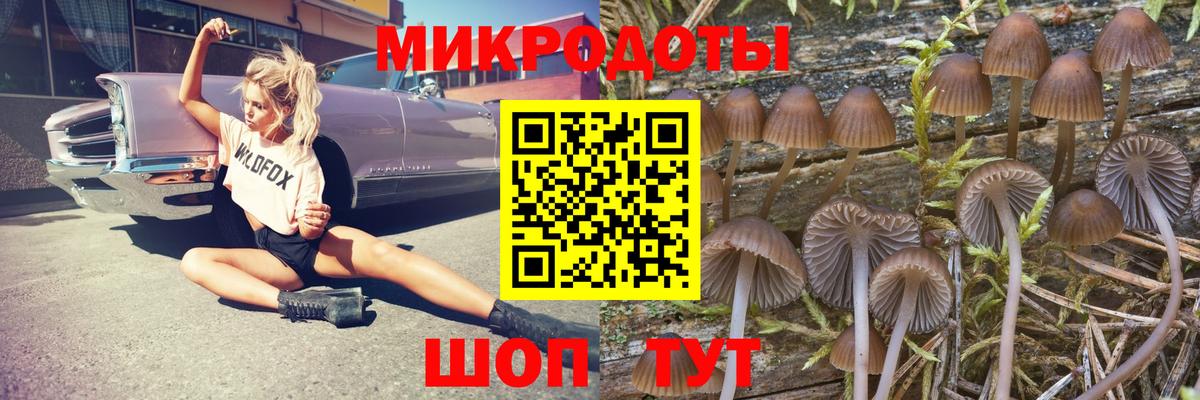 Псилоцибиновые грибы мицелий  Вход с VPN  Выкса  Галлюциногенные грибы ЛСД 