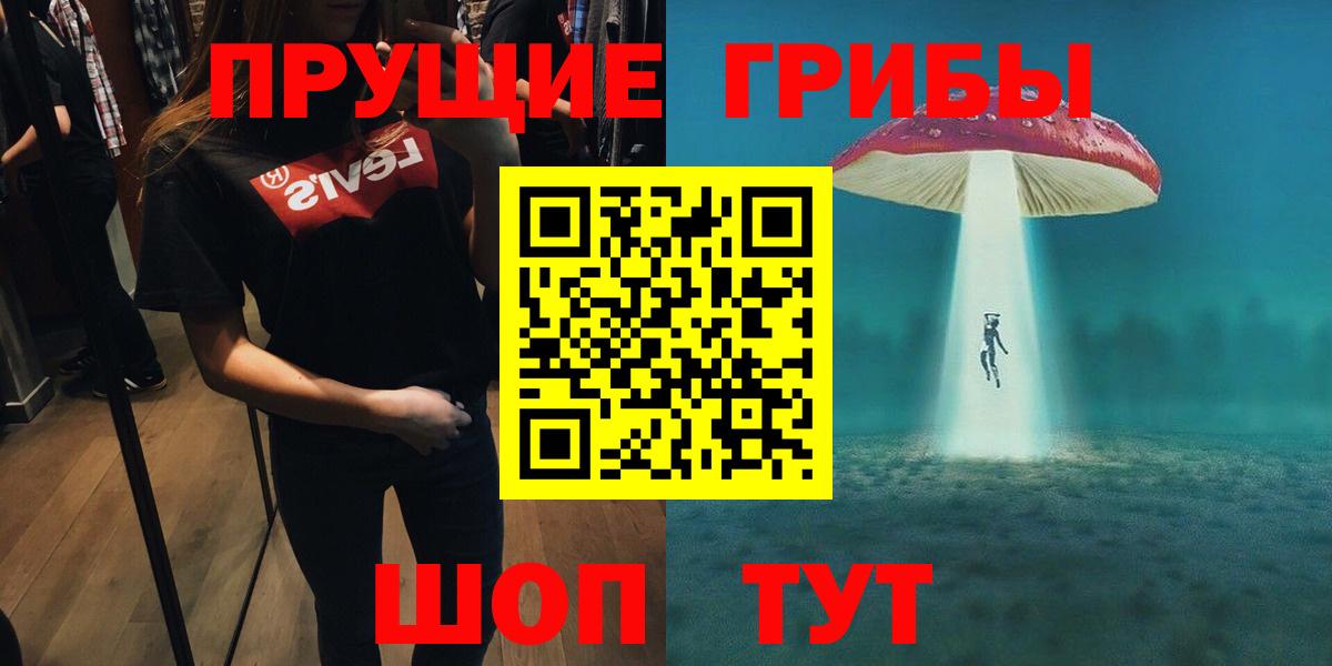 Псилоцибиновые грибы Psilocybe  Выкса  купить закладку  Псилоцибиновые грибы Psilocybe 