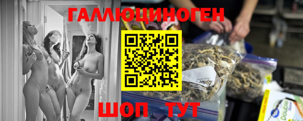 Галлюциногенные грибы Psilocybe Выкса
