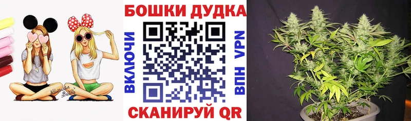 Канабис White Widow  Выкса 